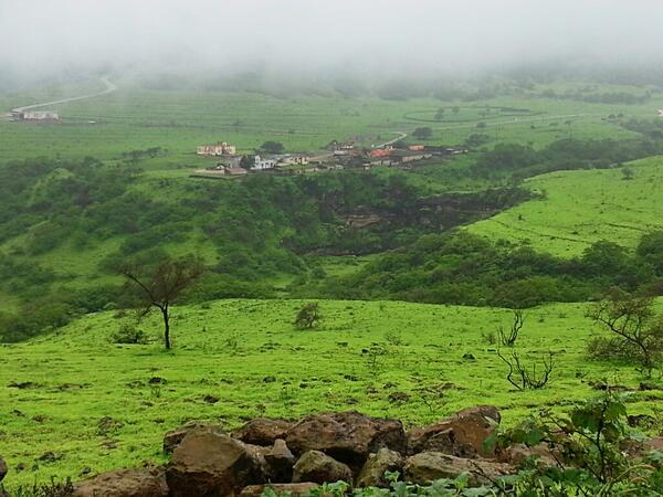 #خريف_صلالة صورة بالفون لمنطقة جوجب..  اللي بعده ما زارنا يتفرج على الصورة يمكن يتحمس