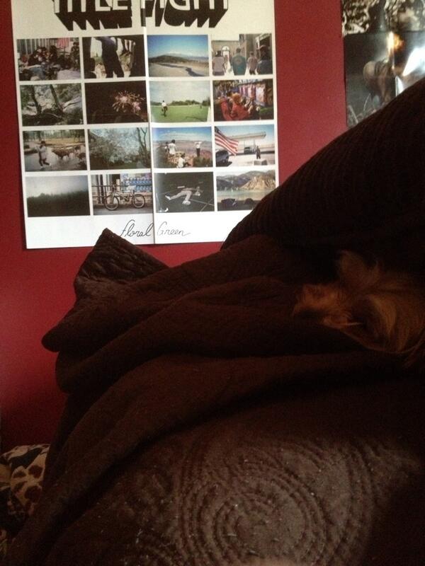 FrescaTruther's tweet image. #slumcam #slumpy #out