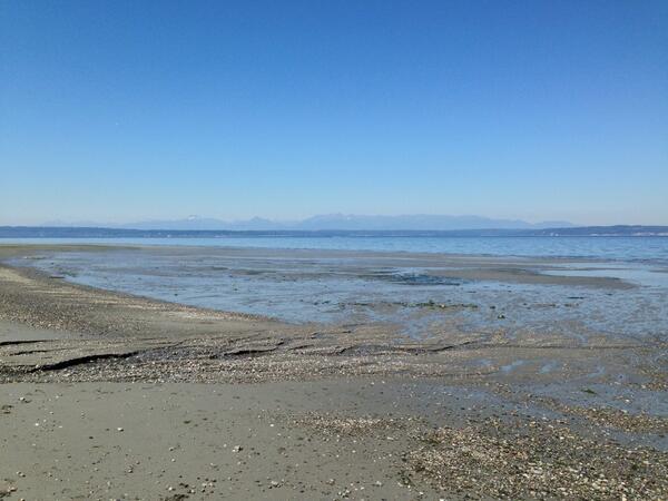 Trastevere's tweet photo. #beach #Tuesday #Seattle #NorthBeach #Ballard #lowtide http://t.co/YunJIRjQ8e