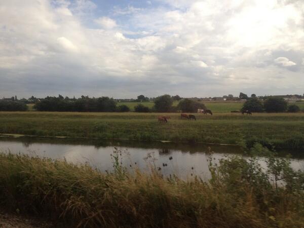 Beckyannt's tweet image. I've always wondered what would happen if one of the cows fell in ?? #cowproblems 🐮🐄 moo !!