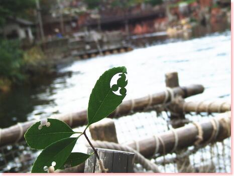 ディズニーbot Disney Jp Twitter