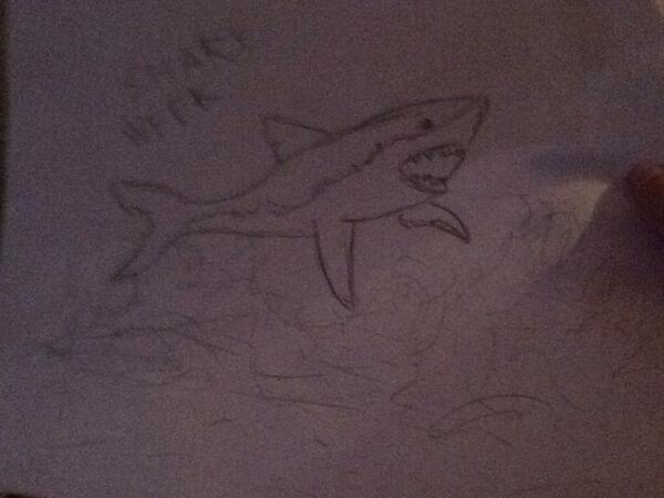 Hopelax's tweet photo. Shark Week from Tommy #sharkafterdark #sharkweek http://t.co/Ew3OtFR3d4