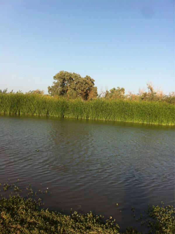 898E2's tweet photo. http://t.co/L8c2X0thQw