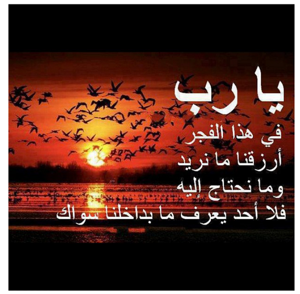 alshaqsi6's tweet photo. http://t.co/TSTj009FrP