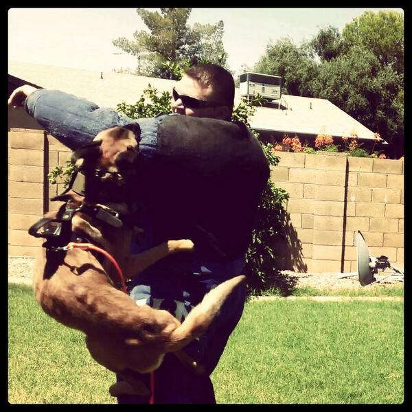 Proving Ground Kennels tweet media