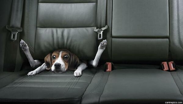 This could so easily be me.  #imstupid