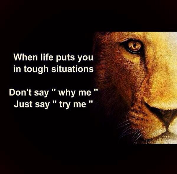 LIMITLESS_TRAIN's tweet photo. #QOTD #Limitless http://t.co/uyTwPcdjVL