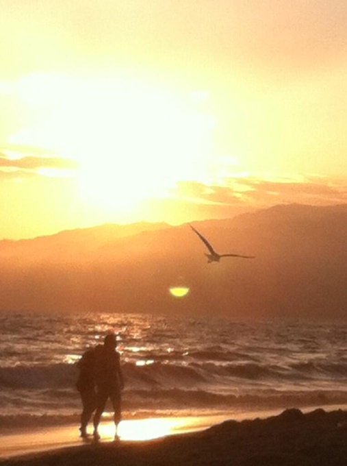 Santa Monica Beach...missing u right now! #CaliLove #BeachLife http://t.co/AwczSdRwwd<a href="/tag/calilove"class="tags">#CaliLove</a><a href="/tag/beachlife"class="tags"><span>#beachlife</span></a>