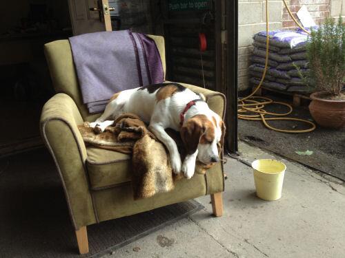 Dads had me sitting in my chair at work looking cute all morning and mobiles not allowed at work! more later