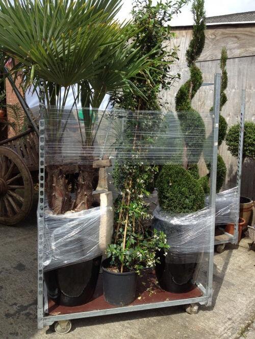 No rest for a Beagle.  Just loading up ready to deliver to a new customer (I've marked em if you know what I mean ;)