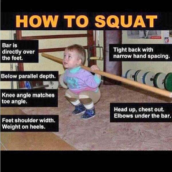 Life Pro Fitness tweet media