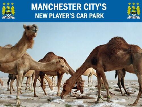 W20H3B's tweet image. Man City's future car park
#ArabPower;)