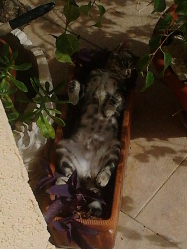 SilvialoraB's tweet photo. Se puede ser mas feliz http://t.co/vCGXnTgFmB