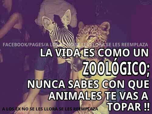 DUARTEALAX's tweet image. 