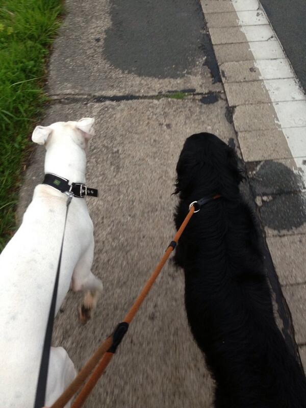 .@AntenneUnna Unterwegs auf Etappe 4. Wetter ist mäßig. Team ist wieder komplett #ExpeditionChef