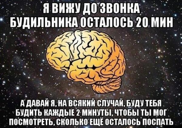 Анекдот про мозги. Анекдоты про мозг. Мозг прикол. Шутки про мозги.