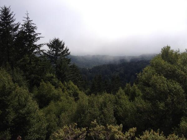 Luke_Warren's tweet photo. What doesnt the bay area have? MillValley http://t.co/sjTNrHnJNc