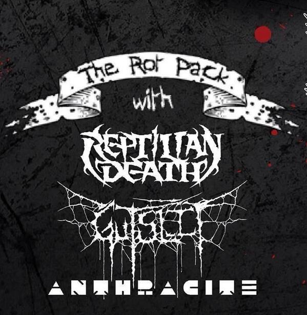 BombilTimes's tweet image. #BombilThursday for Metal Fishies MT @Zouk_Mumbai Get ready for a night of head banging @ Zouk