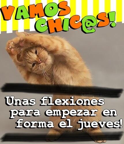 CodeXunlock's tweet image. Buenos días! Comencemos el día con alegría que ya no falta nada para el fin de semana! Trabajemos con una sonrisa!!