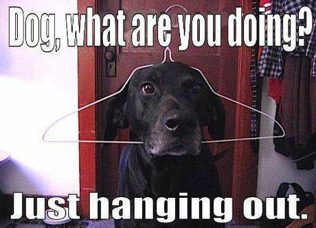 iComedyPost tweet picture