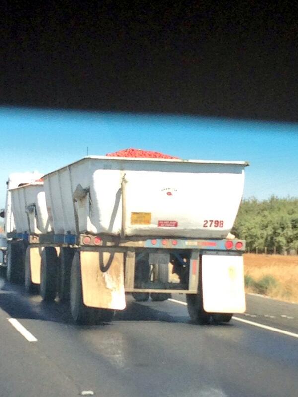 WhitBee's tweet image. #somany huge trucks of tomatoes on the 5! #watchout #drivefaster  #tomatofarming #inthemiddleofnowherecalifornia