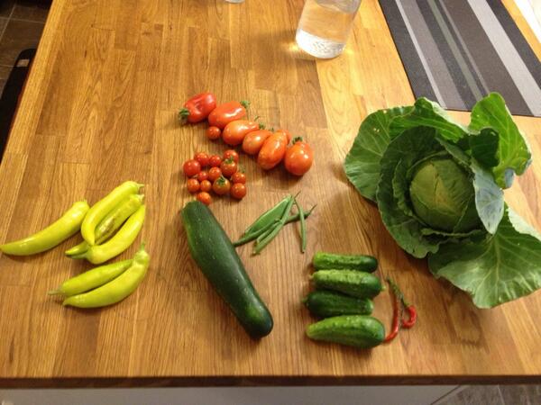 tifer's tweet photo. Today's haul from the garden! Learning some lessons about where to plant our veggies, and where! http://t.co/WiT7d4NOfw