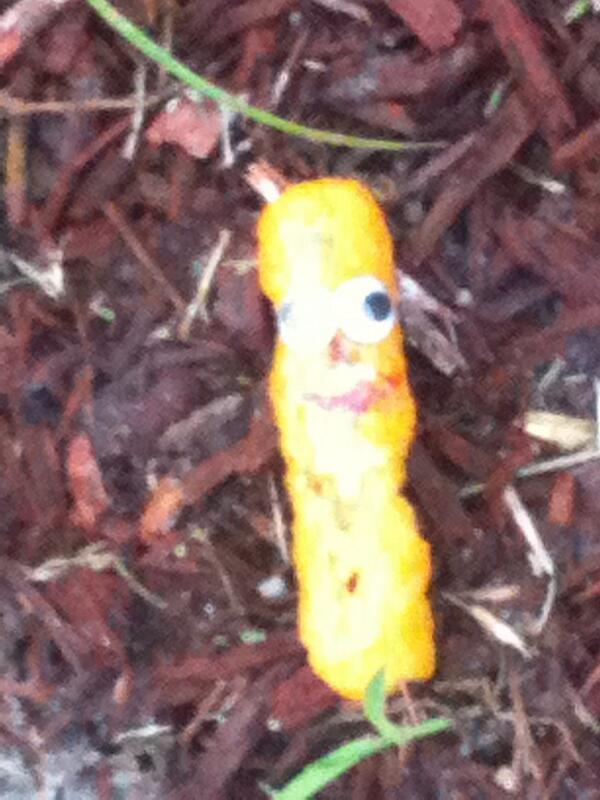 LoriHines3's tweet image. @sincindie don't worry he was good...still can't find that hat tho...#itgone