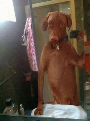 hotmesstrending's tweet photo. @TheRock hope this i ur smile 4 the day :) reminds me of my brother,,  :)  :) http://t.co/0t9cZ4c6Rs