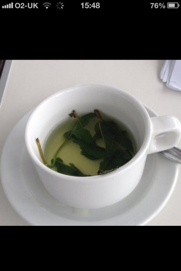 1971T's tweet photo. #peppermint #tea yum http://t.co/c6UAu5klR3