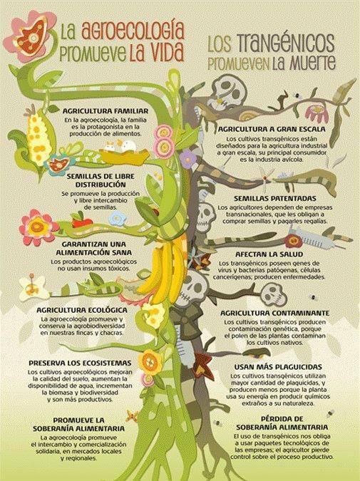 reggae_ecuador's tweet photo. Promueve la vida... http://t.co/X6JoQsvKAT