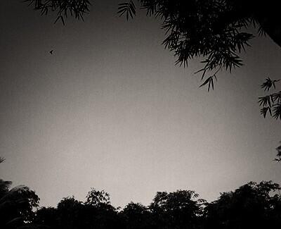 joeza_eza's tweet image. #FrameOrama