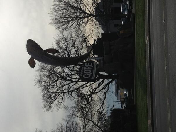 SheldyEW's tweet photo. Not only that but also NZs capital of country music #funfacts #selfproclaimed #stagsvrazorbacks http://t.co/SeArNZF6Vh