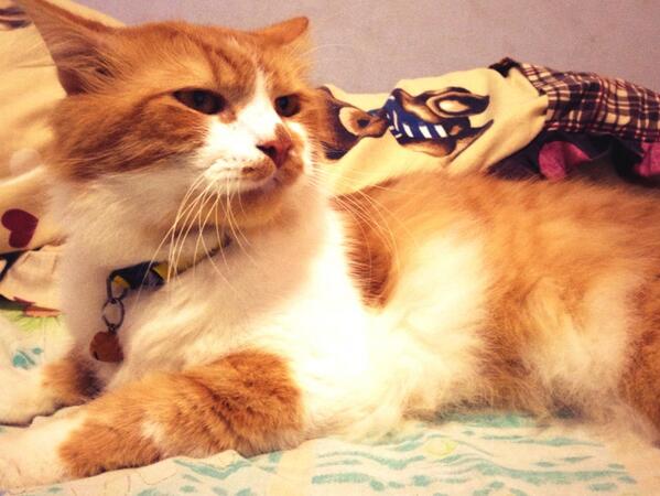 Grrrr guten morgen people!