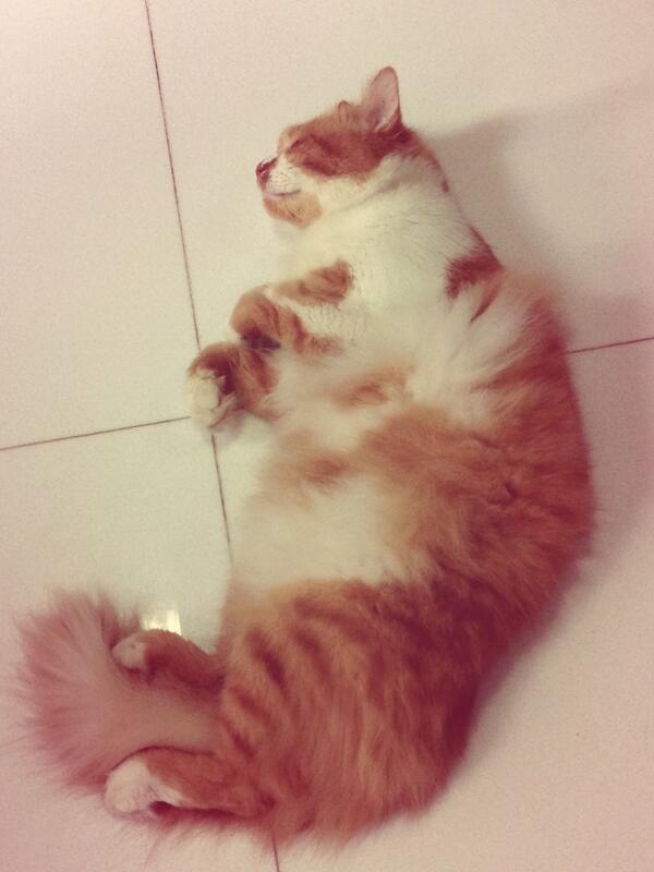 I still feel this like monday