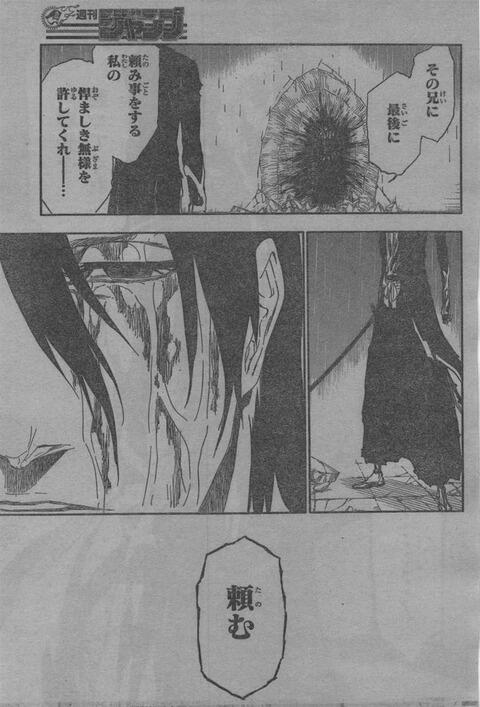 טוויטר マンガ天国 そこいらのbotとは違うぜょ בטוויטר Bleach このシーン好きな人だけrt 朽木 白哉 黒崎 一護 Http T Co Mjrirdrv3d