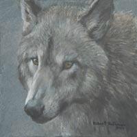 BowValleyRanche's tweet photo. 2nd New Sponsorship at Fish Creek! Wolf by Robert Bateman sponsored by the Rogers Family. http://t.co/j6lbZZWjB3 http://t.co/9eLnG2Nc1I