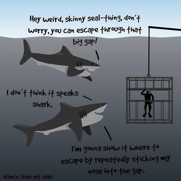 BHBioTech's tweet image. We HAD to do a Shark Week post.