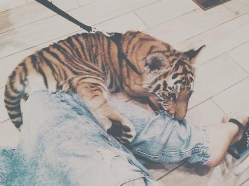 addictioncodys's tweet image. Hanw cute..