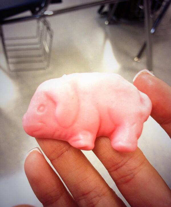 Cassidy_Rouse's tweet image. What Zoyie&apos;s eating right now...🙈🐷#piggummies