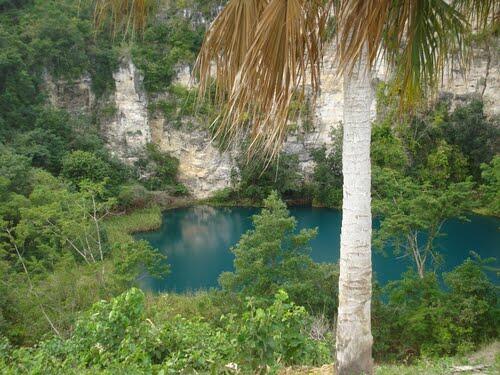 IMAGENQROO's tweet photo. Cenote del cocodrilo dorado en la Rivera del Rió Hondo! http://t.co/fSLBz7Xrhe