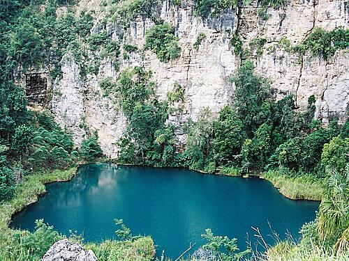 IMAGENQROO's tweet photo. Cenote del Cocodrilo dorado! 
En la Rivera del Rió Hondo
al Sur de Othon P. blanco http://t.co/uGggLdsr8B