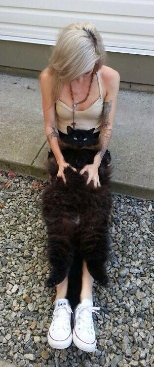 lights's tweet photo. Going to bed. I leave you with this! Goodnight! http://t.co/fQZ2icXmKn