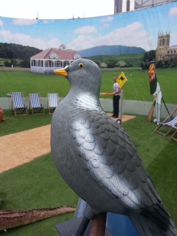 CricketAM tweet media