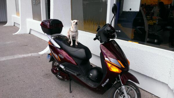 ericahunny's tweet photo. @TheEllenShow please see this hillarious. This is what I seen leaving giant tiger. Fb caption it. http://t.co/qLu3F3cqmy
