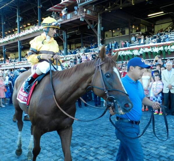 ABRLive's tweet image. A winning smile! #horse of the Year #WiseDan gives us a grin from the #Saratoga Winner's Circle. cc: @WiseDan_