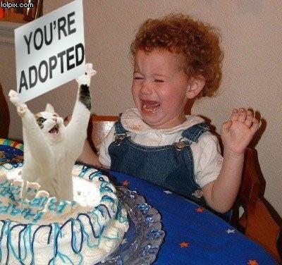 KatDeveaux's tweet photo. Happy birthday uncle a colleague of mine sent me this...... Thought you might like it! X #muchloveKat http://t.co/yXKklLhZ9t