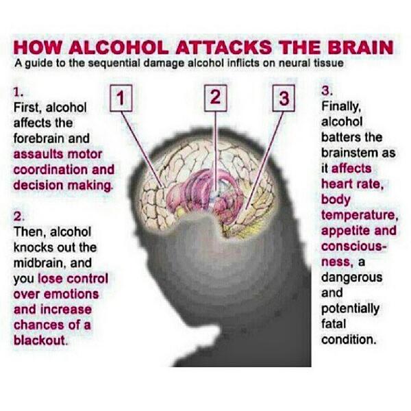 What Is The First Thing Affected When Drinking Alcohol What Is The First Thing Affected When Drinking Alcohol