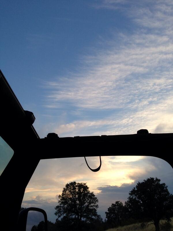 thomashedd's tweet image. It's a topless kind of night