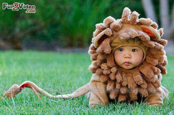 Haihai,,;pRT <a href="/Dowarrr/">vespaholic</a>: Korwil nanang copet RT <a href="/andikpdk/">andikpdk</a>: <a href="/AremaFC/">Arema Indonesia</a>