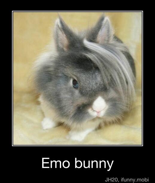 abbyheart15's tweet photo. lol had me dying of laughter http://t.co/LE9uGPPIJs